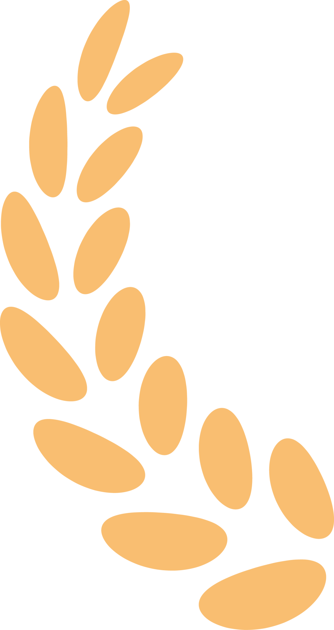 2.png 2.png