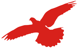 1657963502161805.png 3.png