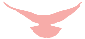 1657963548316660.png 7.png