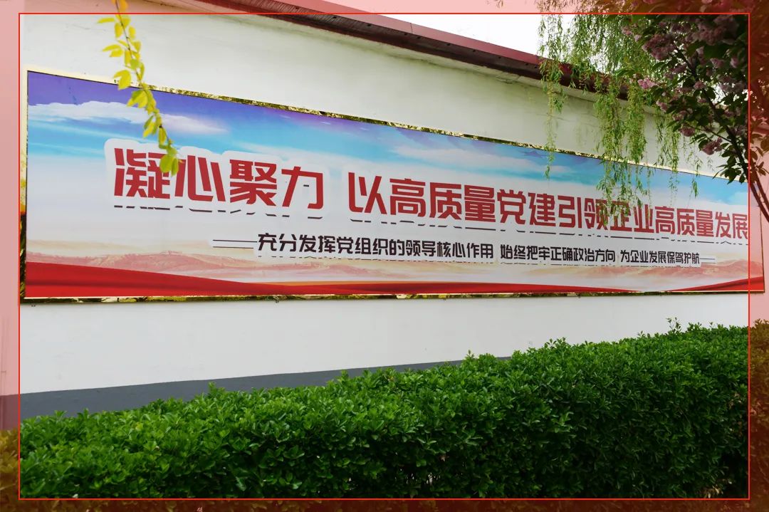 15.jpg 15.jpg